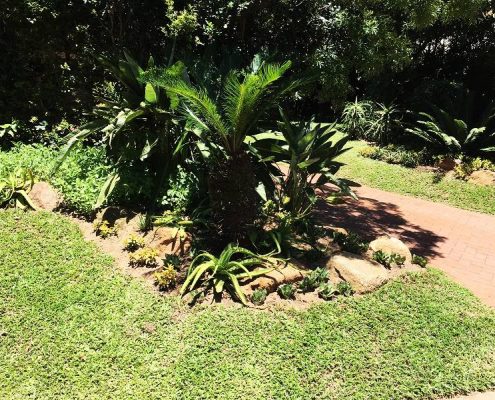 Professional Landscapers South Africa Durban
