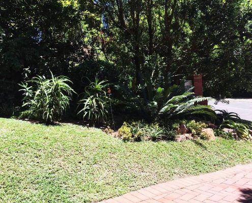 Professional Landscapers South Africa Durban