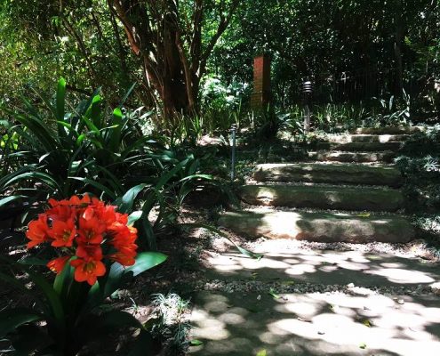 Professional Landscapers South Africa Durban