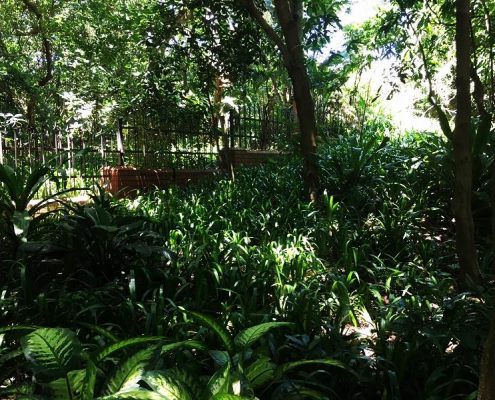 Professional Landscapers South Africa Durban