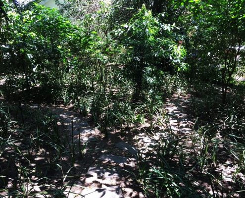 Professional Landscapers South Africa Durban
