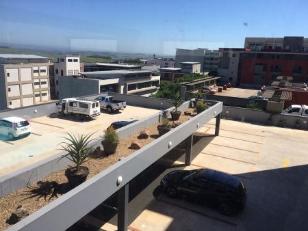 Reliable Garden Maintenance Durban