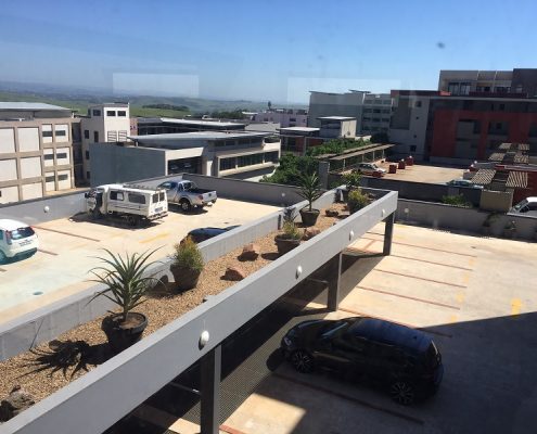 Reliable Garden Maintenance Durban
