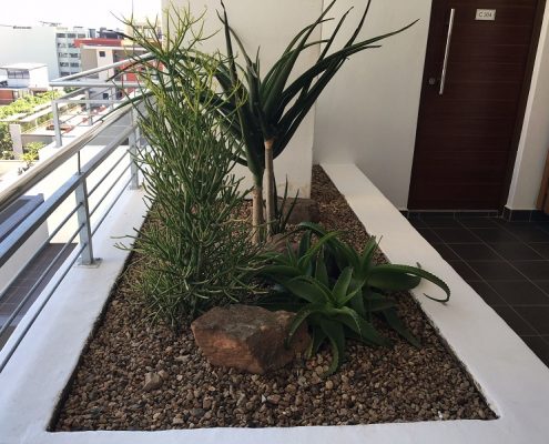 Reliable Garden Maintenance Durban