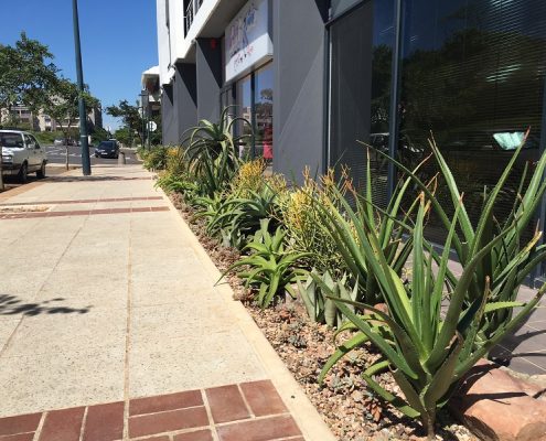Reliable Garden Maintenance Durban