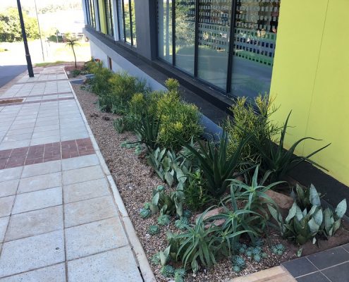 Reliable Garden Maintenance Durban