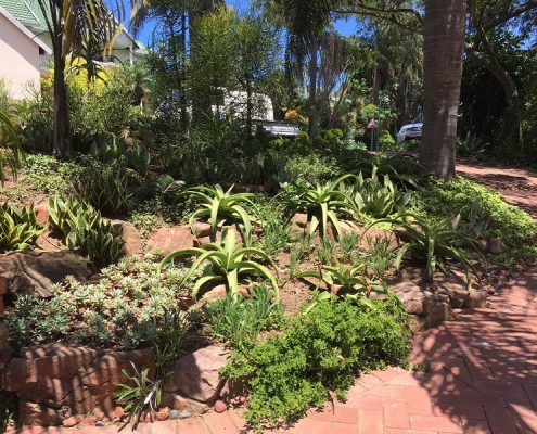 Reliable Garden Maintenance Durban