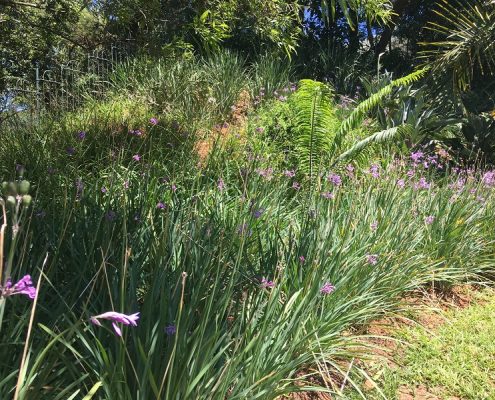 Landscaping design artist