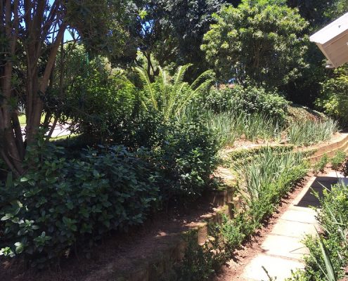 Professional Landscape design artist South Africa Durban