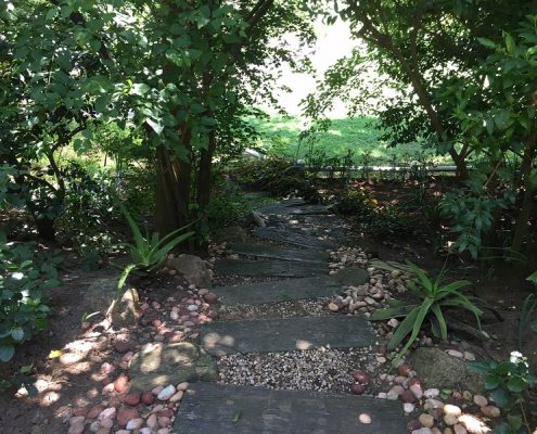 Professional Landscape design artist South Africa Durban